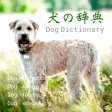 犬の百科辞典