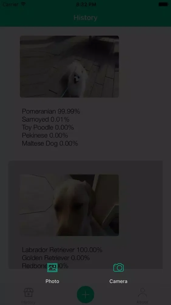 Dog Breeds Recognition by AI Ekran Görüntüleri