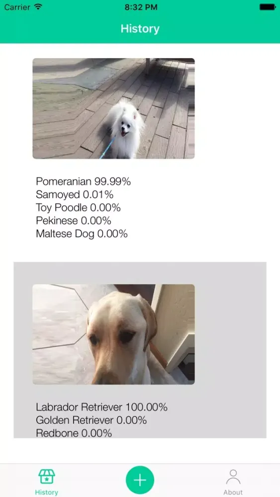 Dog Breeds Recognition by AI Ekran Görüntüleri