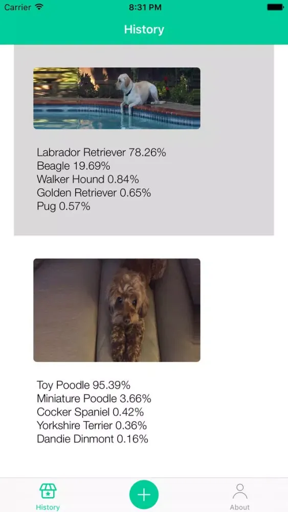 Dog Breeds Recognition by AI Ekran Görüntüleri