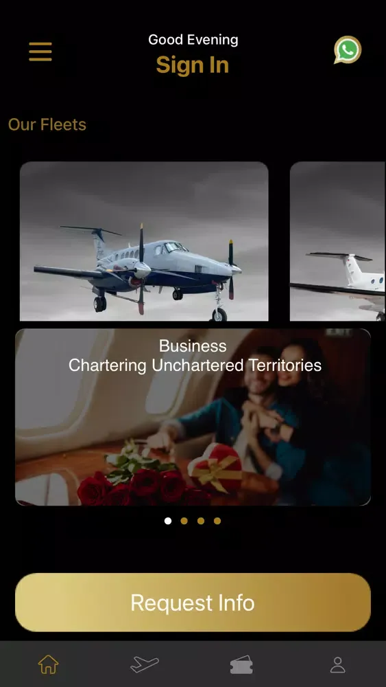 ภาพหน้าจอของ AirDriven Aviation