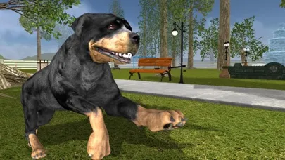 تصاویر Rottweiler Dog Life Simulator
