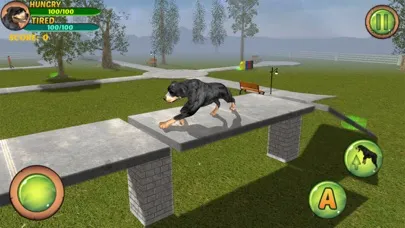 تصاویر Rottweiler Dog Life Simulator