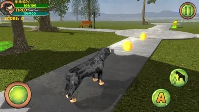 تصاویر Rottweiler Dog Life Simulator