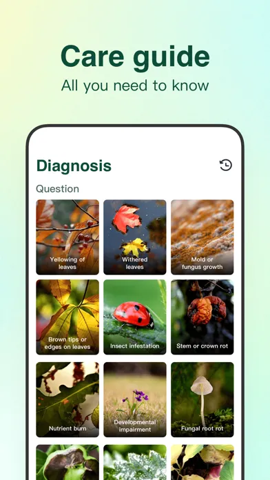 صور iPlant - AI Plant Identifier