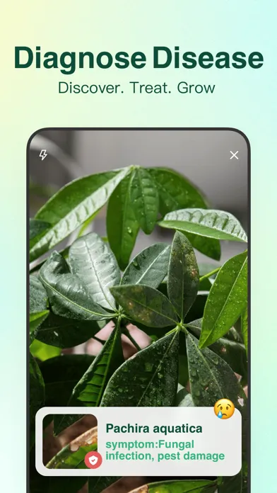 صور iPlant - AI Plant Identifier