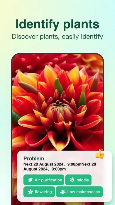 صور iPlant - AI Plant Identifier