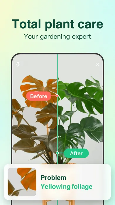 صور iPlant - AI Plant Identifier