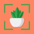 Plant Identifier - Plant Care