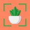 Plant Identifier - Plant Care