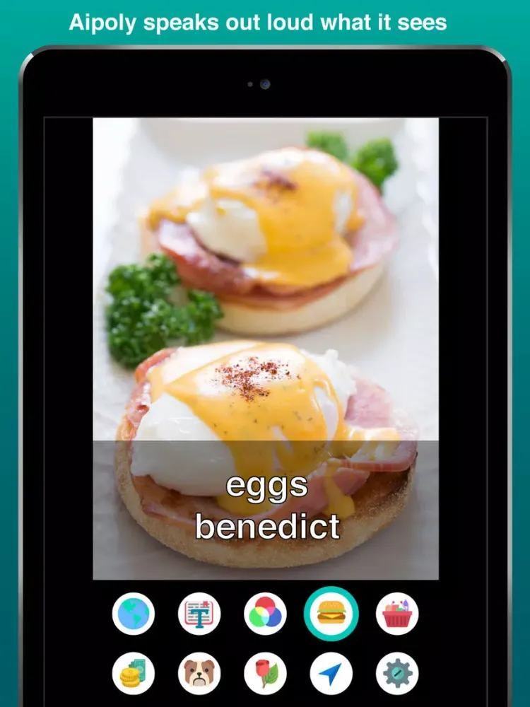 Aipoly Vision: Sight for Blind & Visually Impaired iPad 应用截图