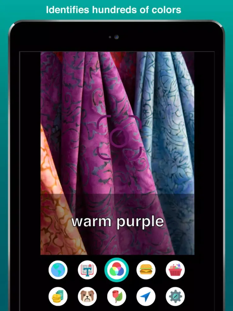 Aipoly Vision: Sight for Blind & Visually Impaired iPad 应用截图