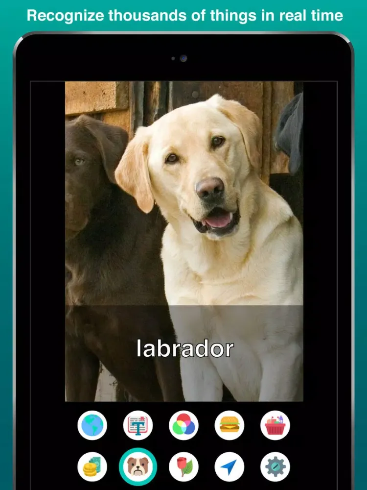 Aipoly Vision: Sight for Blind & Visually Impaired iPad 应用截图