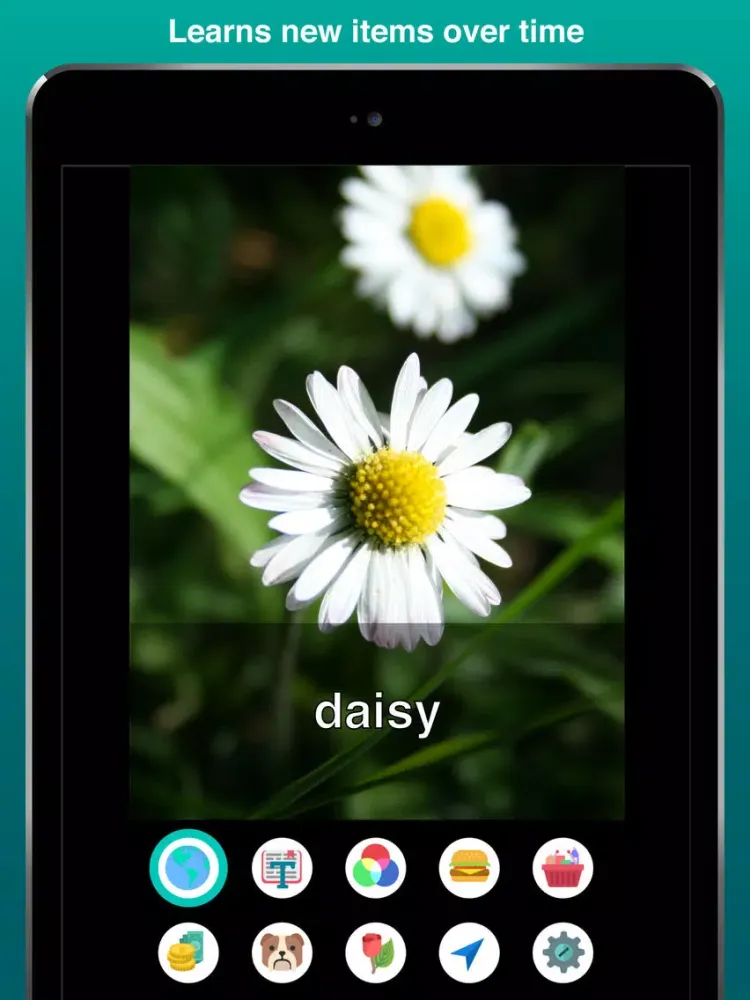 Aipoly Vision: Sight for Blind & Visually Impaired iPad 应用截图