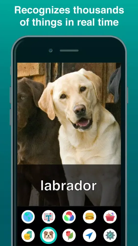 Aipoly Vision: Sight for Blind & Visually Impaired应用截图