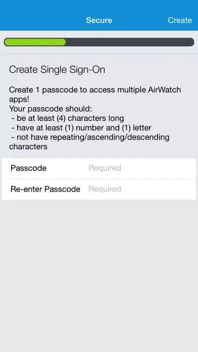 Tangkapan layar AirWatch Container