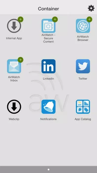 Tangkapan layar AirWatch Container