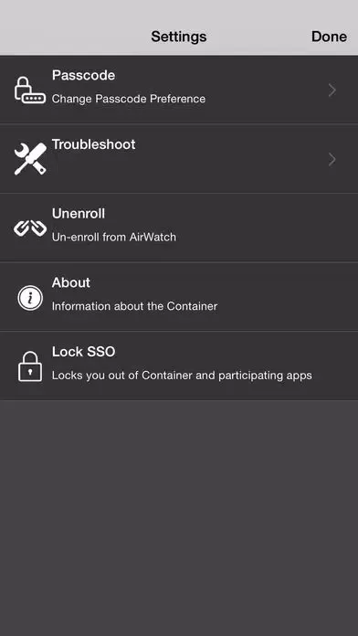 Tangkapan layar AirWatch Container