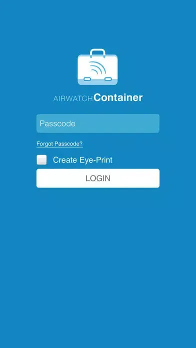 Tangkapan layar AirWatch Container