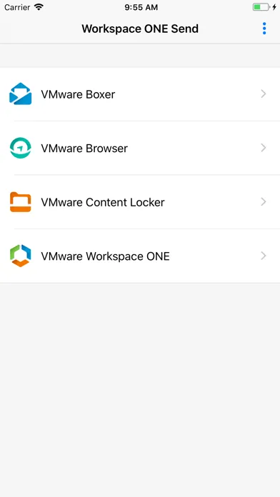 Zrzuty ekranu Send - Workspace ONE