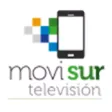 Movisur