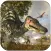 Dino Isle™