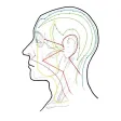 Apuntes de Acupuntura Apuntes de Acupuntura