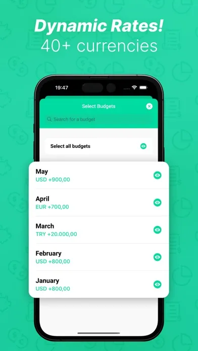 Скриншоты YBB Budgeting: free budget app