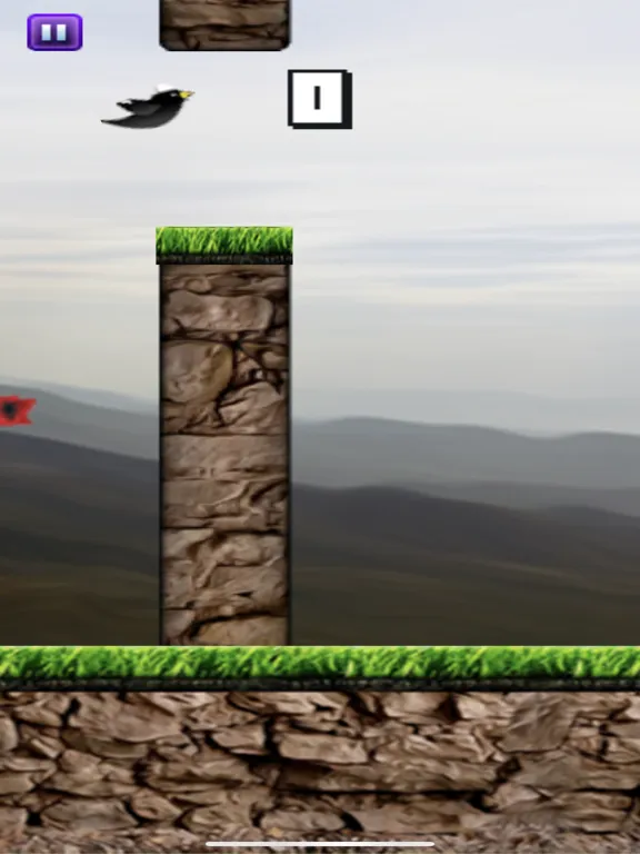 Ảnh chụp màn hình của Flying Shqipe iPad 