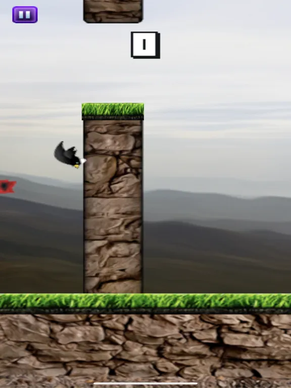 Ảnh chụp màn hình của Flying Shqipe iPad 