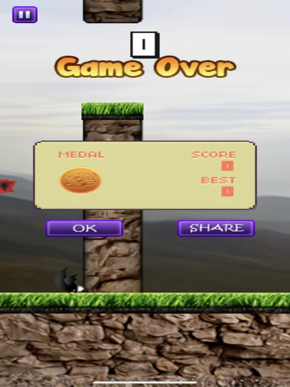 Ảnh chụp màn hình của Flying Shqipe iPad 