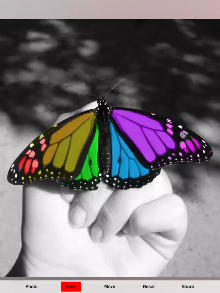 Color Accent FX iPad  سکرین شاٹس