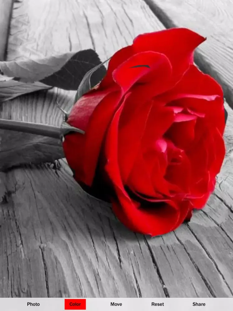 Color Accent FX iPad  سکرین شاٹس
