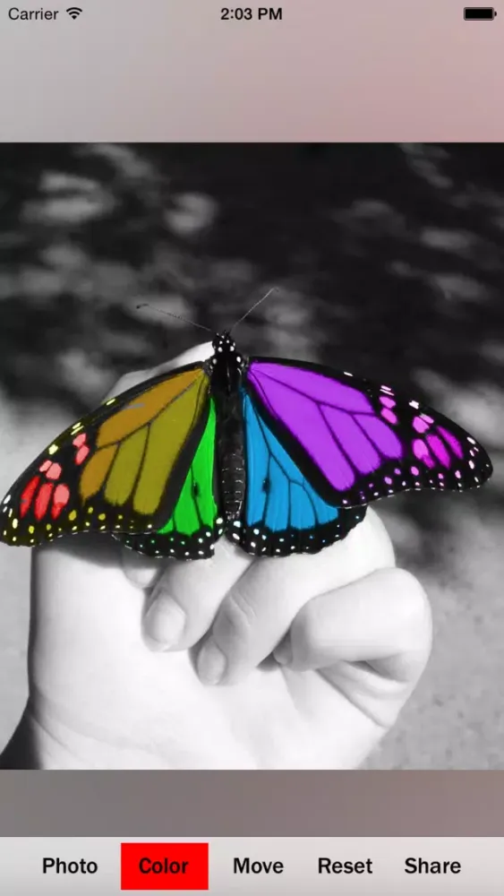 Color Accent FX سکرین شاٹس