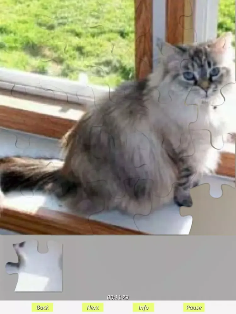 تصاویر Cats - Jigsaw Puzzles iPad 