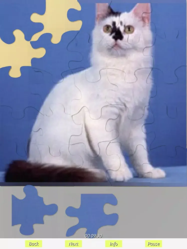 تصاویر Cats - Jigsaw Puzzles iPad 