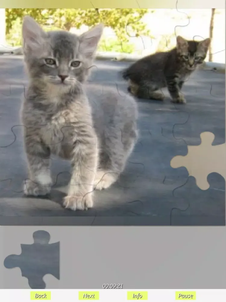تصاویر Cats - Jigsaw Puzzles iPad 