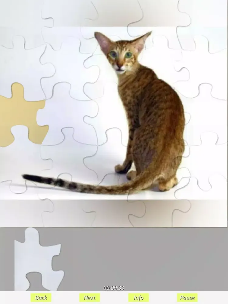 تصاویر Cats - Jigsaw Puzzles iPad 