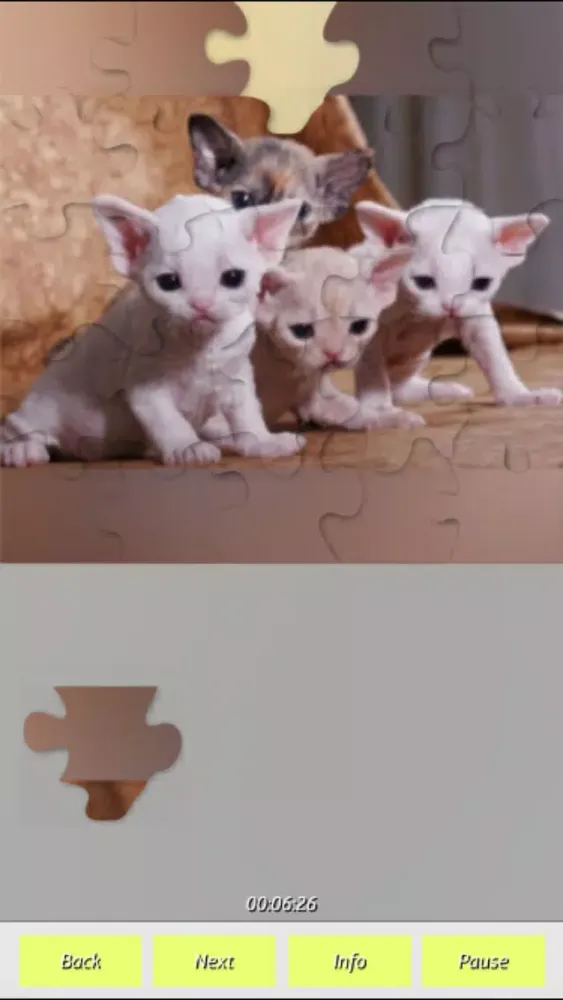 تصاویر Cats - Jigsaw Puzzles