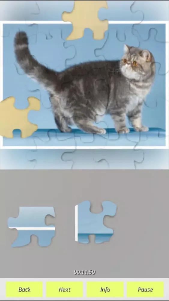 تصاویر Cats - Jigsaw Puzzles