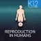 Reproduction in Humans