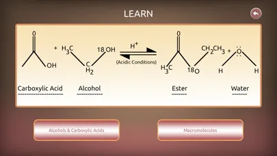 Alcohols & Carboxylic Acids Ekran Görüntüleri