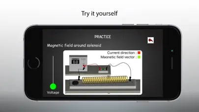 Screenshot di Magnetism - Physics