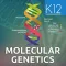 Genetics and Molecular Biology