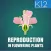 Reproduction-Flowering Plants