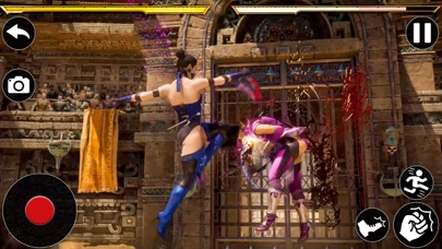 Girls Ninja Kungfu Fighting スクリーンショット