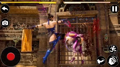 Girls Ninja Kungfu Fighting スクリーンショット