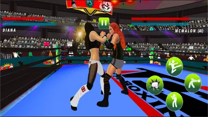 Girls Ninja Kungfu Fighting スクリーンショット