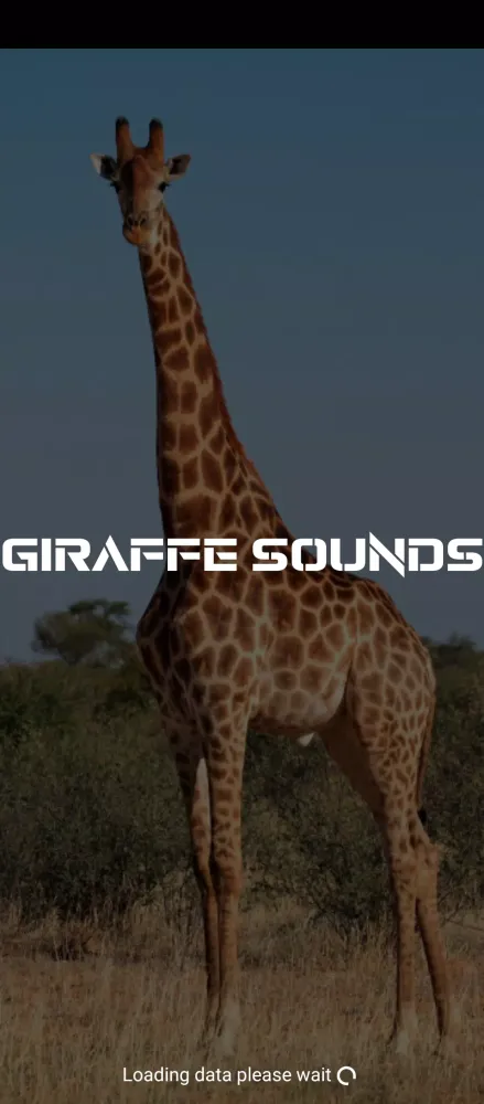 giraffe sounds应用截图