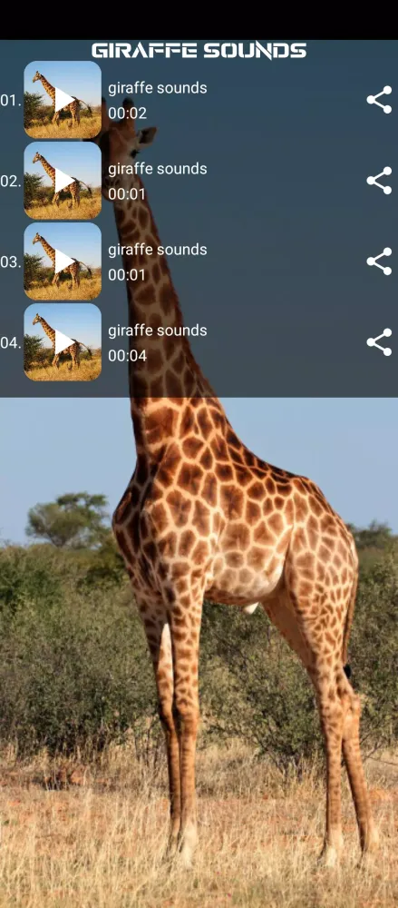 giraffe sounds应用截图